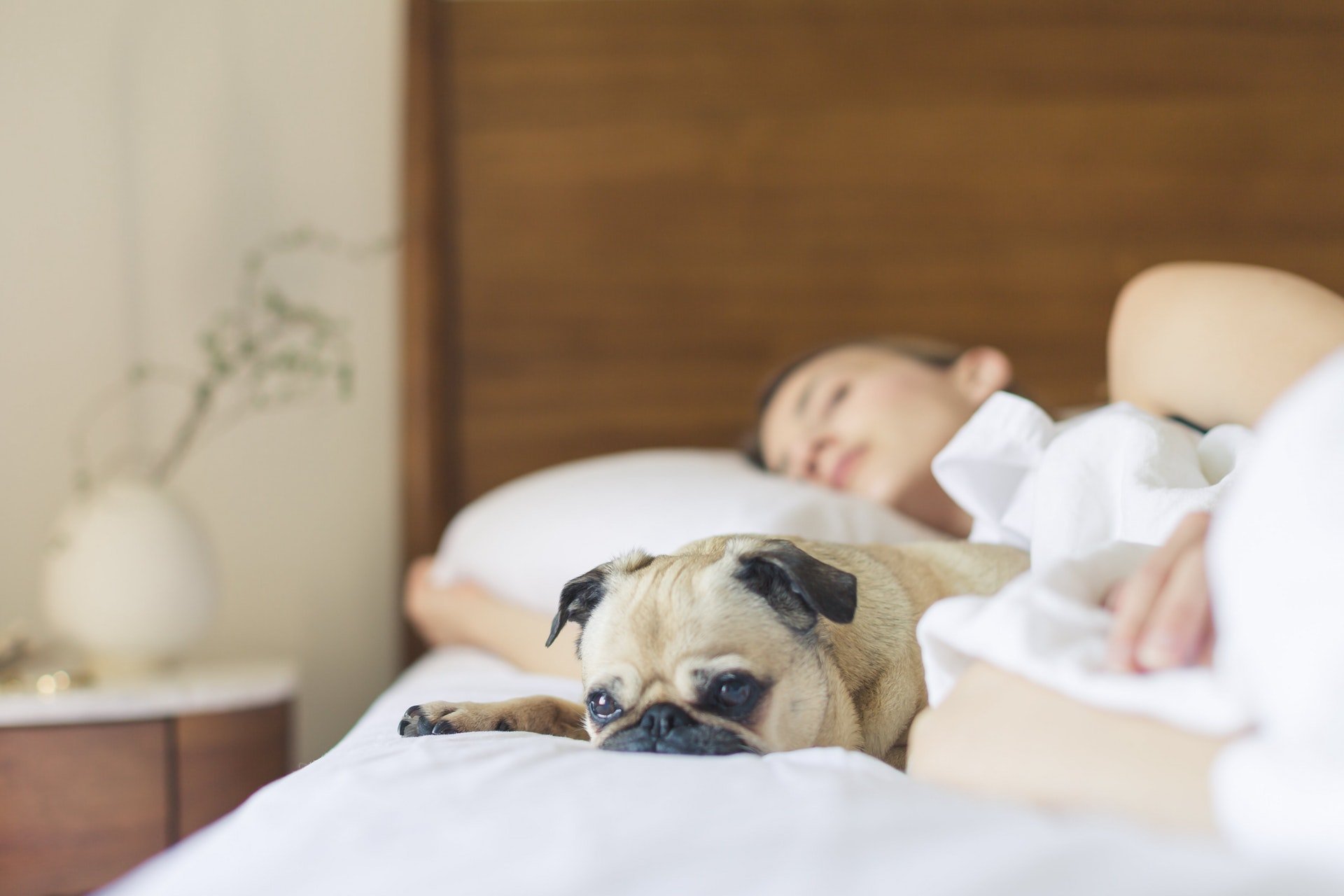 How Sleep is Actually Good for Business