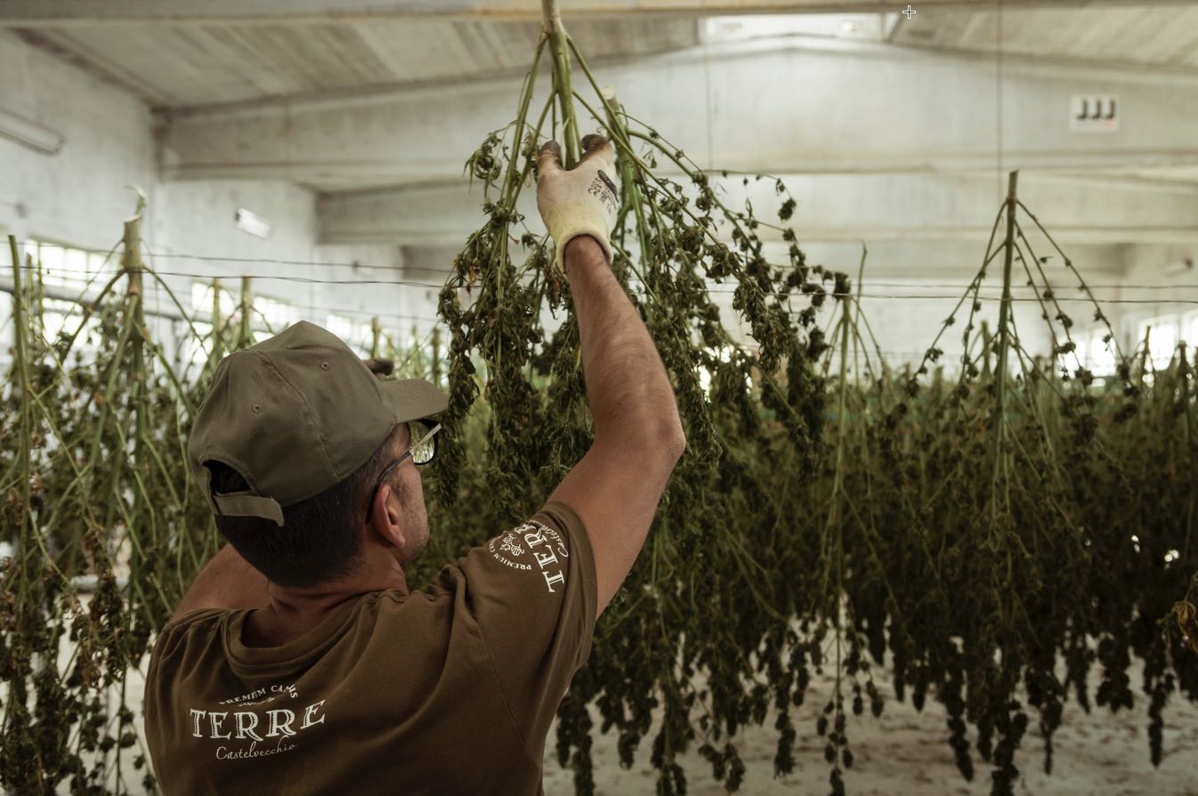5 Proven Strategies for Scaling Your Cannabis Startup