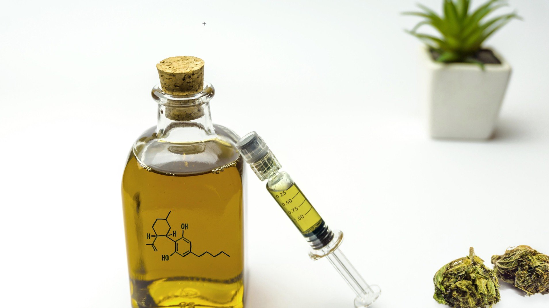 What is CBD and Why is it So Popular