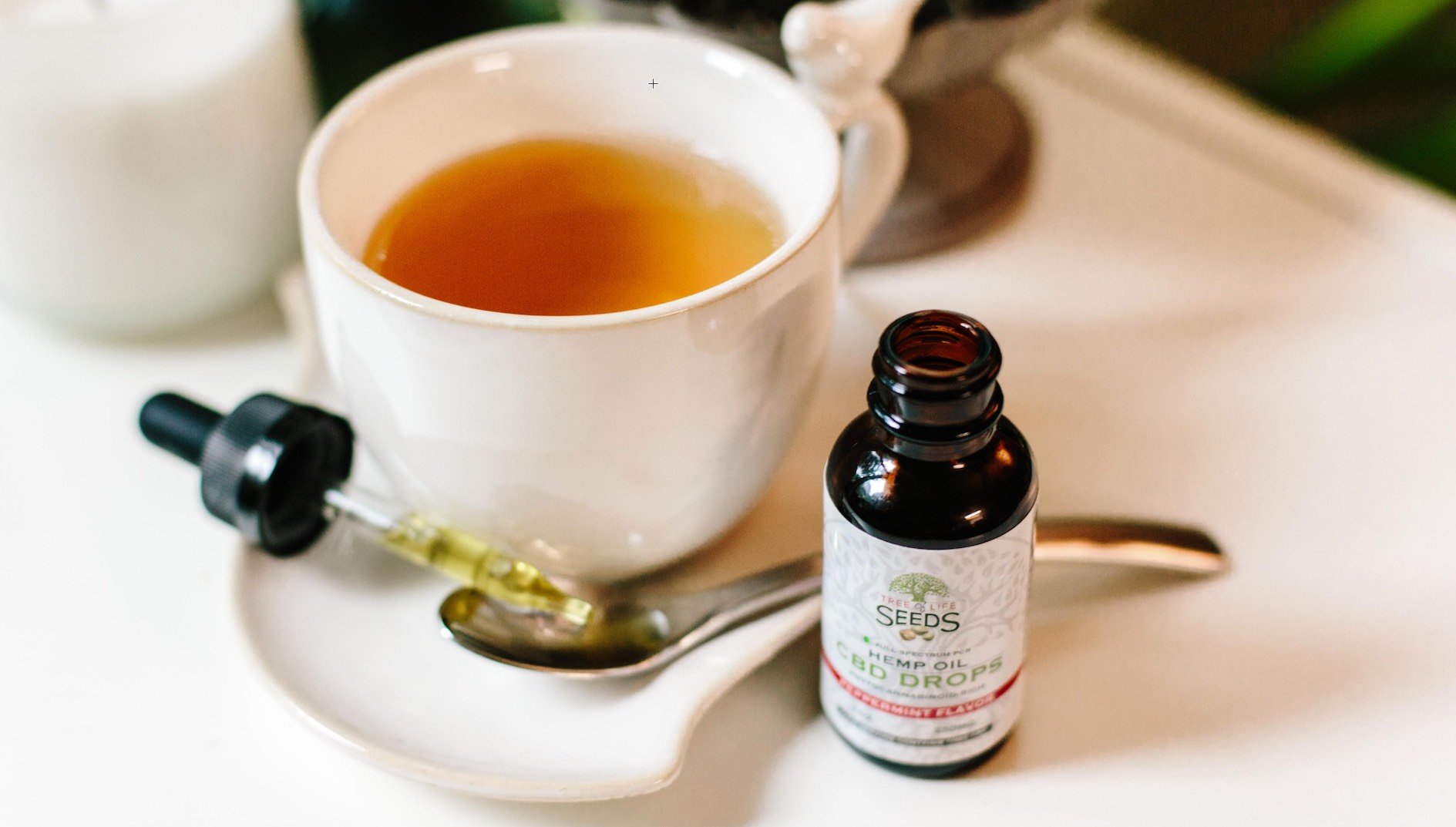 What is CBD and Why is it So Popular